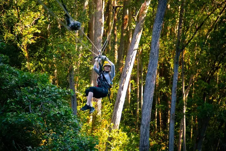 Big Island Kohala Zip and Dip Tour from Kona