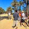 Image 21: Tour por la tarde del Park Güell