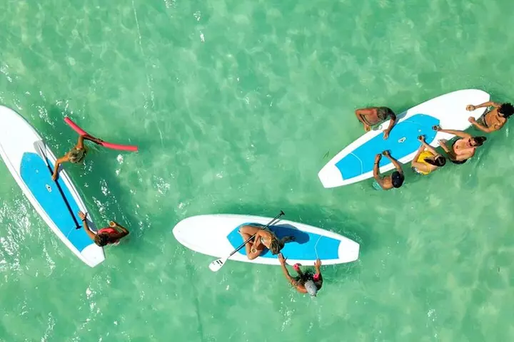 Key West Sandbar Charter With Kayak Tour: Includes Lunch & Drinks