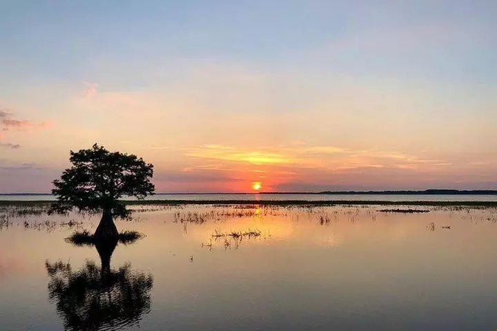 1-Hour Sunset Airboat Ride near Orlando