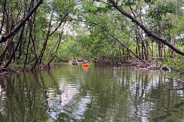 Easy Ride Pedal Kayak Tour Marco Island & Naples (Pedal or Paddle