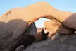 1-day Private Tour to Joshua Tree National Park from Los Angeles - Second Medium