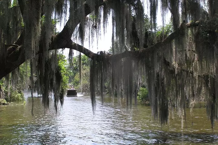 Small-Group Bayou Airboat Ride with Transport from New Orleans