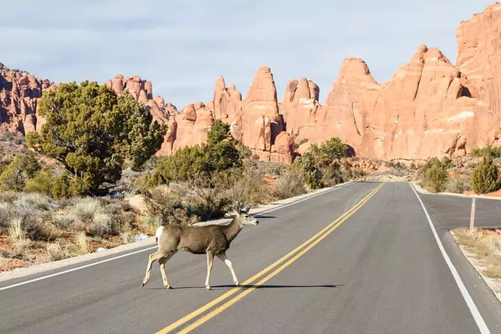 Arches and Canyonlands NP Self-Guided Driving Audio Bundle Tour
