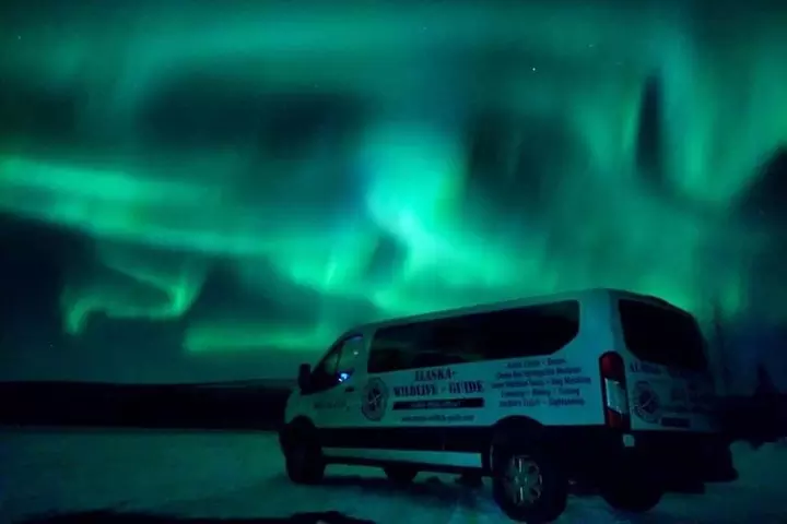 Arctic Circle and Northern Lights Tour from Fairbanks