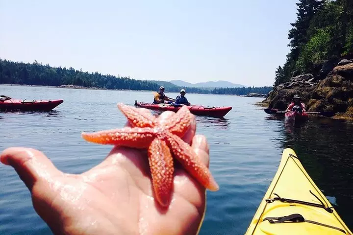 Aqua Safari Kayak tour departing Southwest Harbor - Primary Image