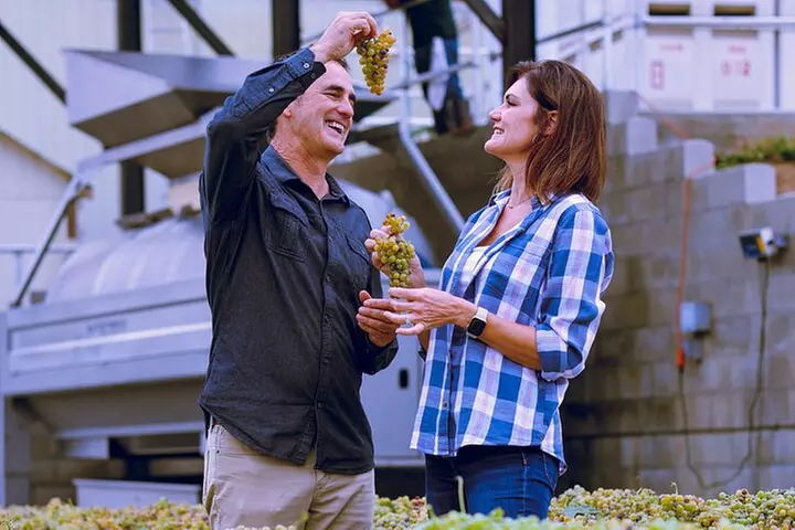 Temecula Valley Wine Tour with Tastings & ​Lunch Included