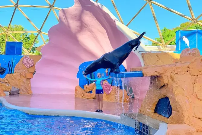 Miami Seaquarium Admission with Transport - Primary Image