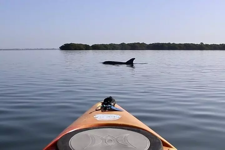 Lido Key Pedal Kayak Tour in Sarasota
