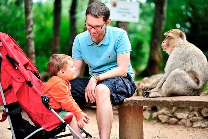 Billet d'entrée à La Forêt des Singes - Primary Image