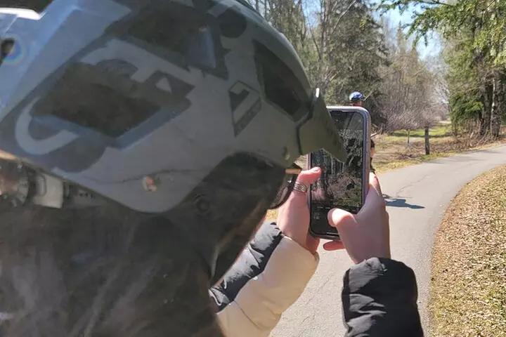 Viator Exclusive: Go eBike Alaska on Tony Knowles Trail