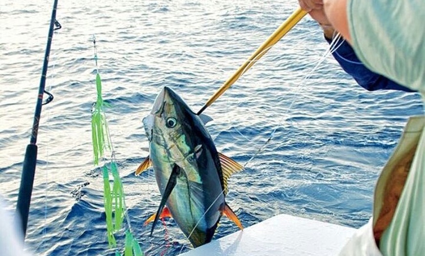 Image 4: Excursiones de Pesca en Mallorca con Capitán Martin