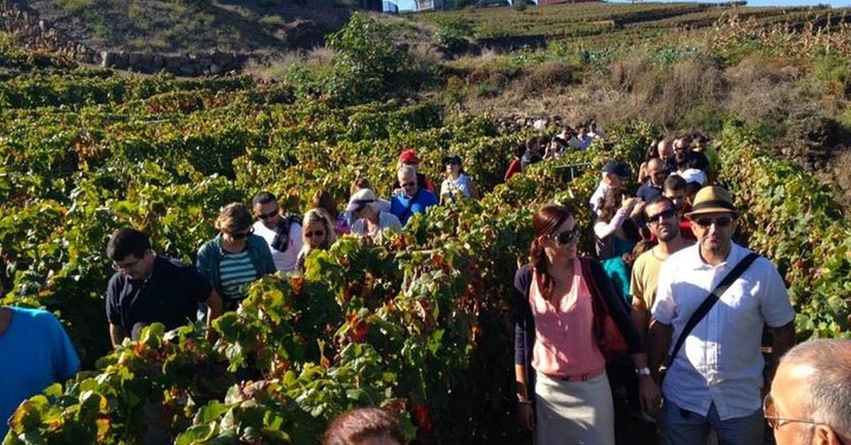 Recorrido gastronómico con visitas a bodegas y almuerzo en Tenerife