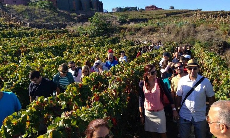 Image 2: Recorrido gastronómico en Tenerife con visitas a dos bodegas y almu...