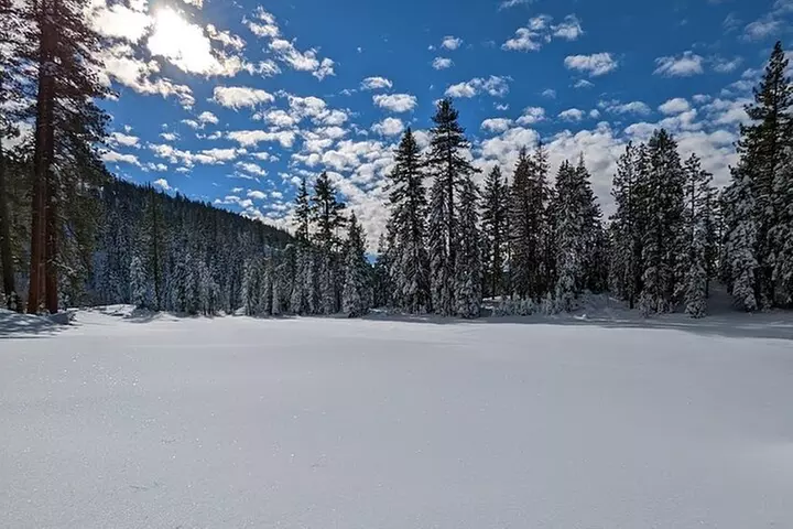 Tahoe National Forest Moonlight Snowshoe Tour Under a Starry Sky