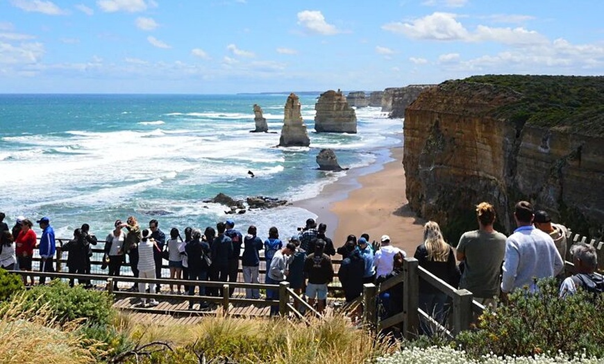 Image 11: Great Ocean Road 12 Apostles kangaroo & koala tour