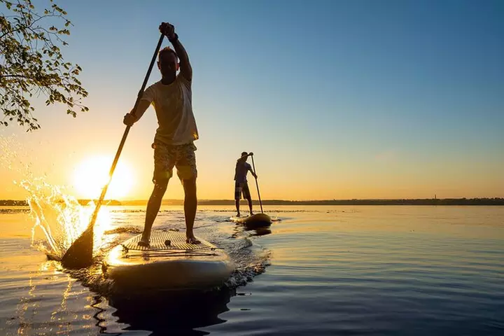 Sunset Bioluminescent Comb Jelly & Dolphin Tour