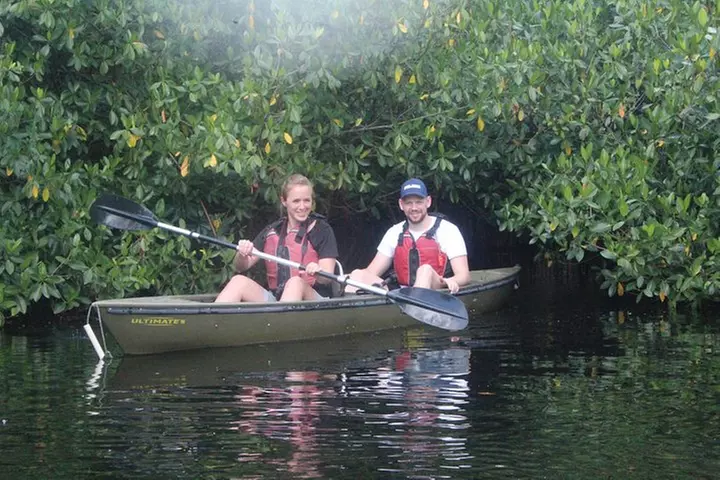 3 Hour Guided Mangrove Tunnel Kayak Eco Tour