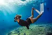 Two Site Snorkeling Adventure featuring the Molokini Crater - Second Medium