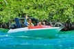 Speedboat across the Mangroves & Snorkel with Jet Ski Rental - Second Medium