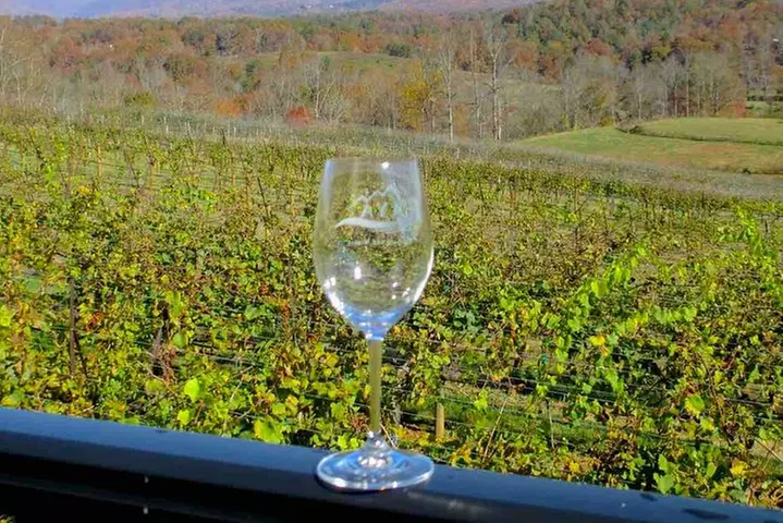 North Georgia Wine Country Tour from Atlanta - Second Medium