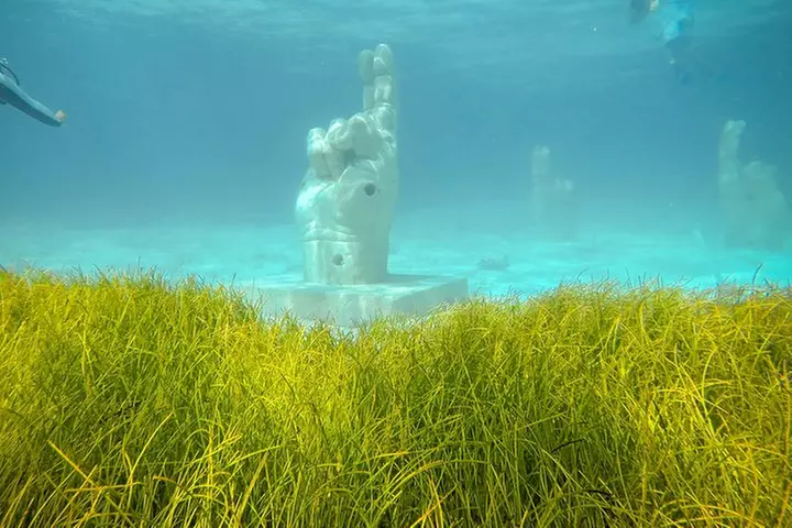 Afternoon Half-Day Catmaran Sailing and Snorkel Adventure