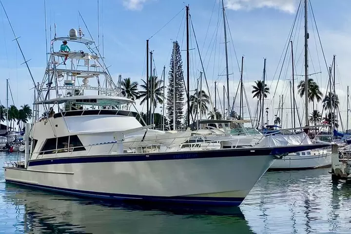 Ohana Yachts Sport Fishing & Luxury Charters - Primary Image