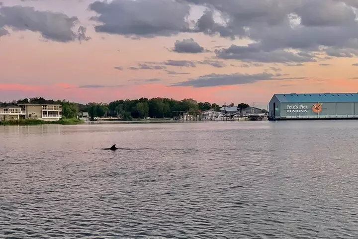 4 Hour Single Kayak Rental In Crystal River, Florida