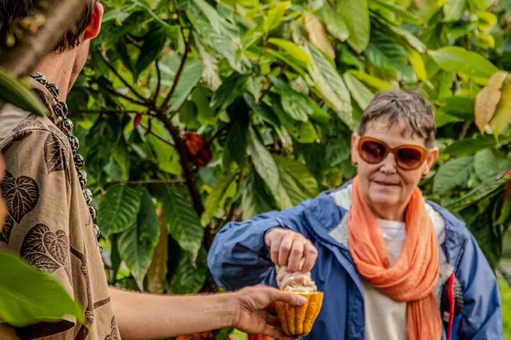10 Bar Hawaiian Craft Chocolate Tasting Experience