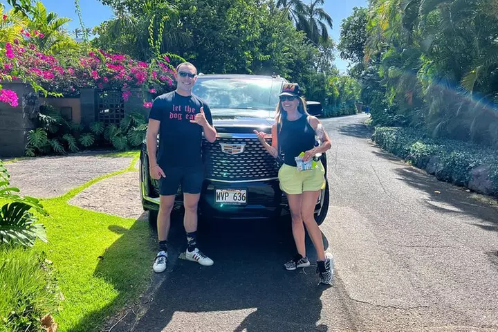 One-Way VIP Transfer: Honolulu Airport, Waikiki, Cruise Port