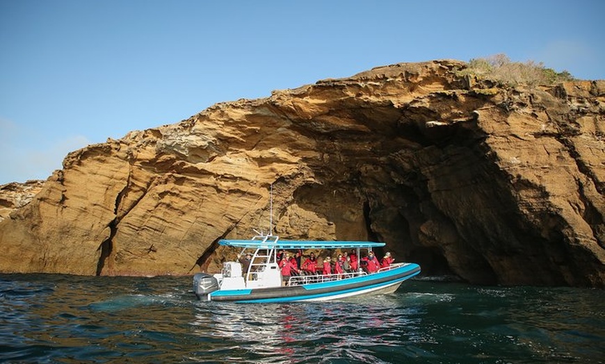 Image 1: Hunter Coastal Adventure Tour by Boat from Newcastle