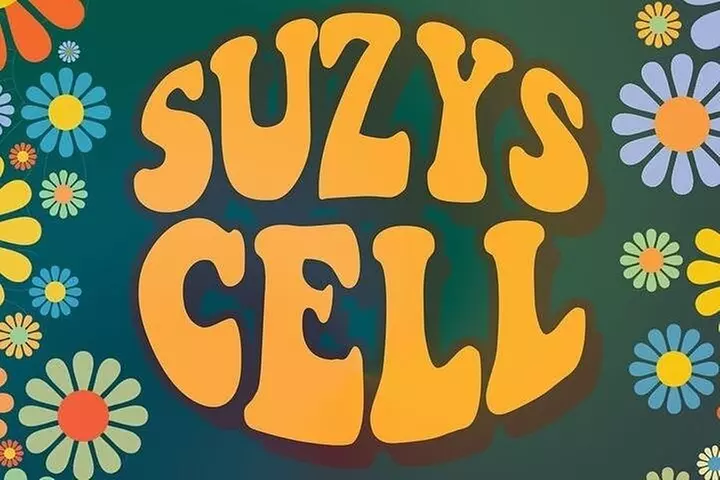 Suzys Cell Escape Game - Second Medium