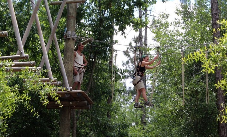 Orlando Tree Trek Orlando Tree Trek Groupon