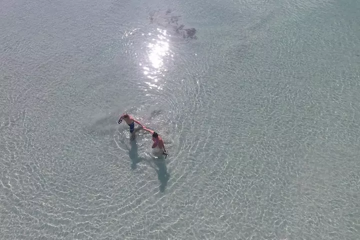 Key West Safari Eco Sandbar Tour Adventure with Snorkeling