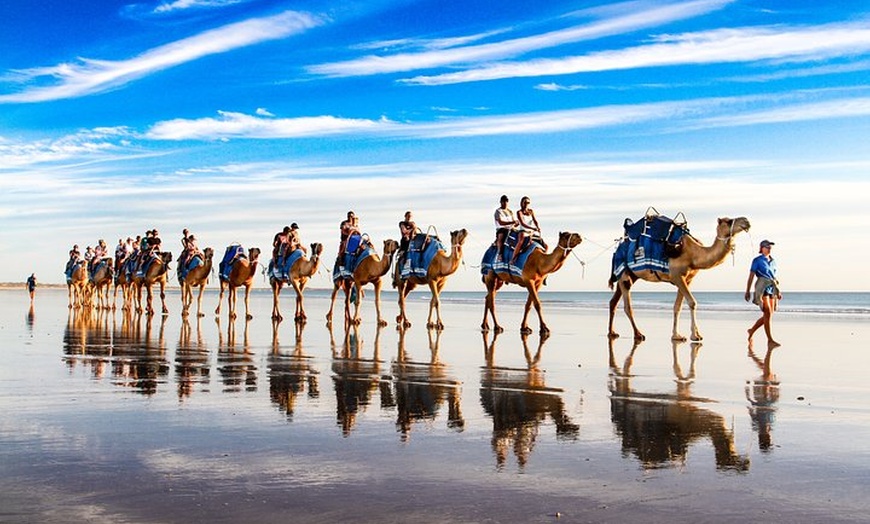 Image 3: 1 Hour Broome Sunset Camel Tour