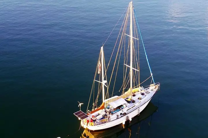 6 Hour Sailing Tour of Vineyard Haven Harbor and Sound - Primary Image