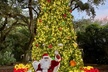 Flamingo Gardens' Garden of Lights - Second Medium