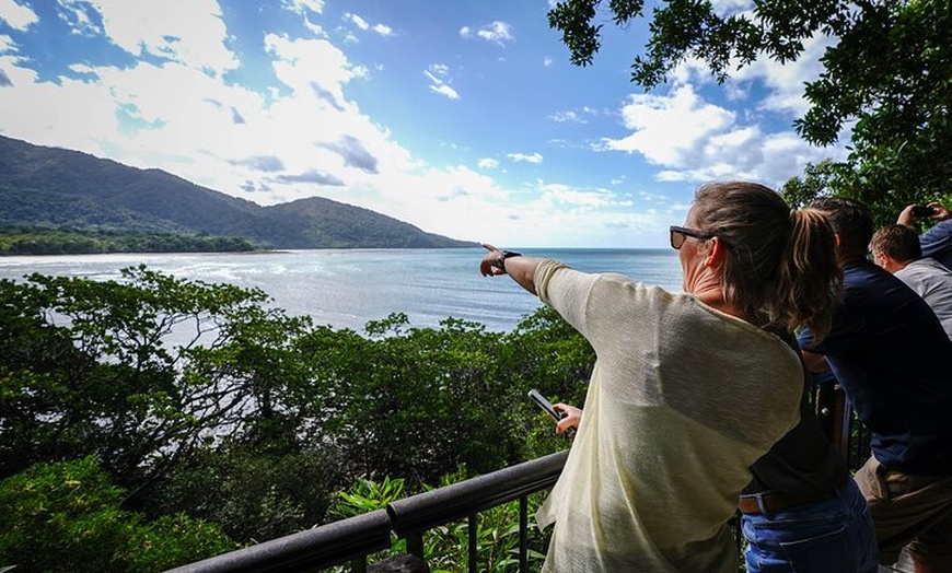 Image 15: Total Daintree Experience Tour from Port Douglas