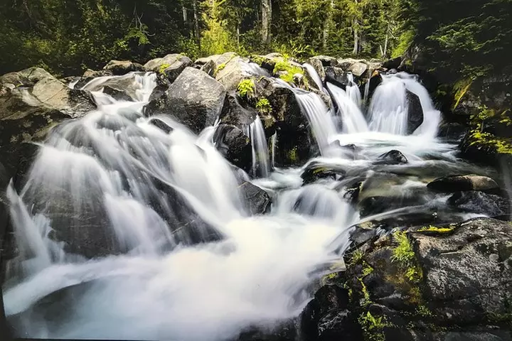 Mt. Rainier National Park Highlights Tour