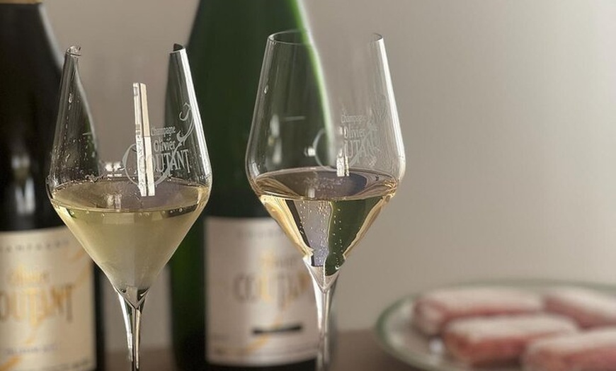 Image 8: Demi-journée groupe privé dégustation Champagne Domaine Coutant