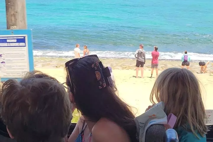 Oahu Circle Island: Snorkel with Turtles & Explore Turtle Beach