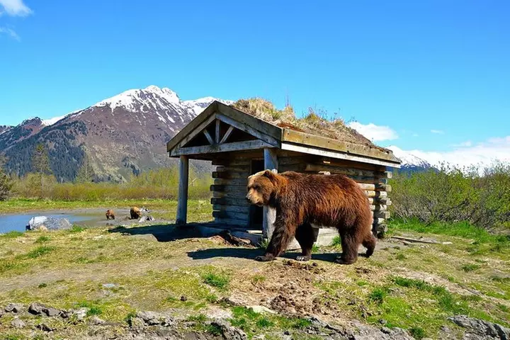 Anchorage to Whittier Cruise Transfer and Private Tour