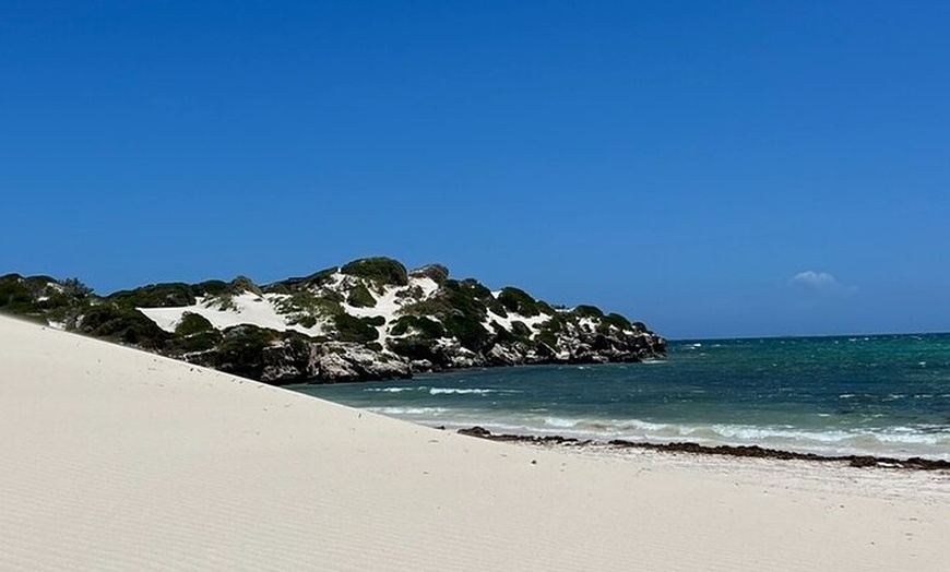 Image 7: Turquoise Coast and Pinnacles Desert Private day Tour from Perth