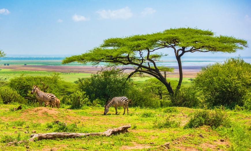 Image 2: ✈ TANZANIA | Dalla Tanzania a Zanzibar - Exploration de la Tanzanie...