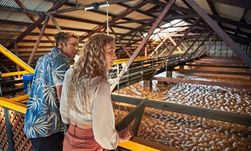 Image 2: Bundaberg Rum Behind The Scenes Distillery Tour And Museum Experience