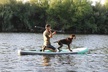 Rent a Paddle Board And Float the Lower Salt River - Second Medium