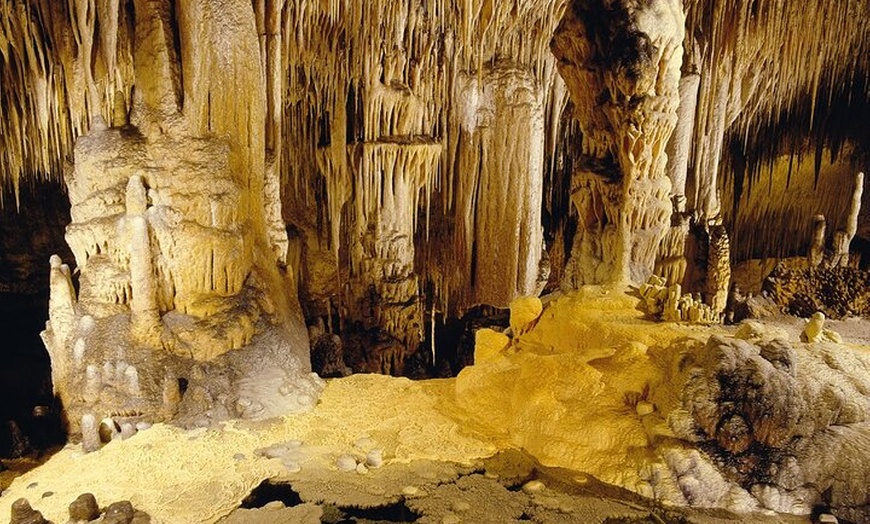 Image 10: Excursión a las Cuevas del Drach y traslado de regreso desde Cala D...