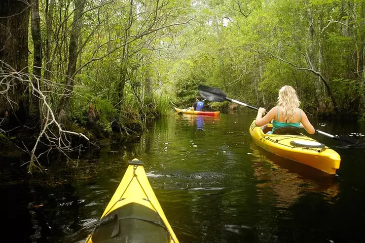 Alligator River Kayak Adventure - Second Medium