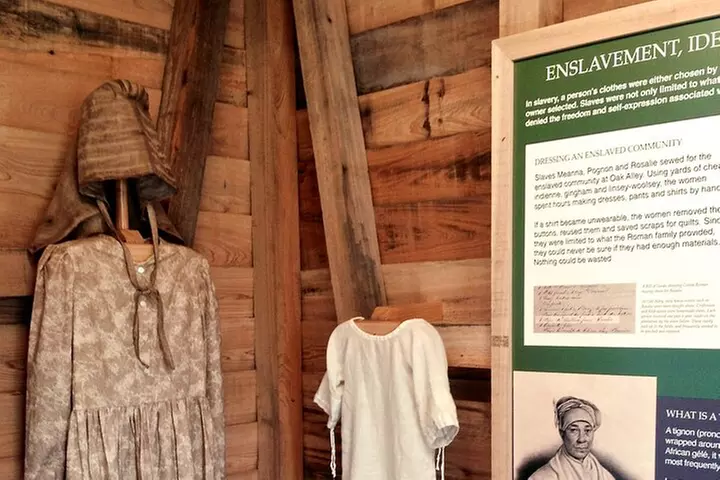 Full Day Plantation -N- Swamp Tour in New Orleans