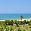 Image 4: ✈ SRI LANKA | Ahungalla - Sheraton Kosgoda Turtle Beach Resort 5* -...